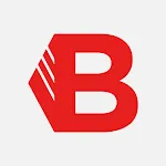Bricodis icon