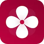 Gallery icon
