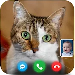 Cat Fake Video Call prank Chat icon