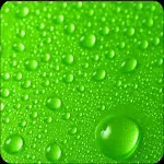 Green Wallpaper HD & 4K icon