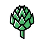 Artishok icon