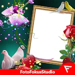 Love Birds Insta DP : Bird DP icon