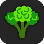 Healthy Vegetarian Recipes icon