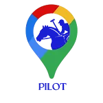 Polo Pilot icon
