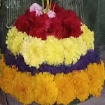 Bathukamma Paatalu icon