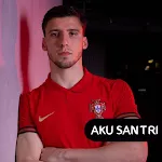 Portugal Football Wallpaper HD icon