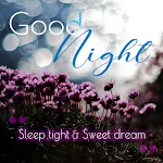 Good Night icon