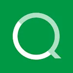 Qlik Sense SaaS icon