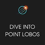 Xplore: Dive into Point Lobos icon