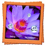 Lotus Live Wallpaper icon