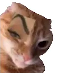 Stickers Memes - WAStickerApps icon