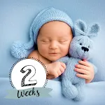 Baby Story Photo Editor App icon