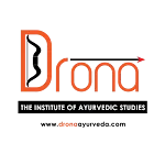 Drona Ayur Companion icon