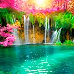 Nature Wallpapers icon