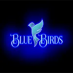 Blue Birds icon