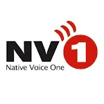 NV1 icon