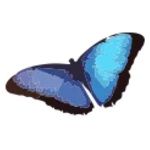 CBT Guide to Depression & Test icon
