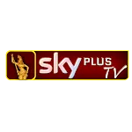 Sky plus TV icon
