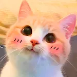 Cat Stickers for WhatsApp icon