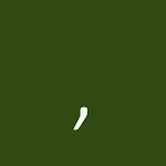 Number of Digits Quiz icon