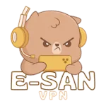 E-SAN VPN icon