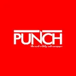 Punch News icon