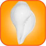 Shankh - Shell icon
