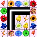Onnect Flowers Match Puzzle icon