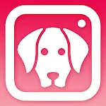 DogCam - Dog Selfie Filters an icon