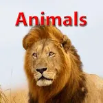 Animals for Kids Education icon