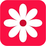 Gallery- photo gallery, album icon