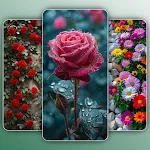 Flower Wallpapers 4K