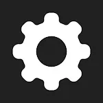 Developer Options icon