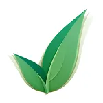 OpenApply icon