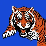 Stockton USD 271 KS Tigers icon