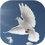 Musica cristiana icon