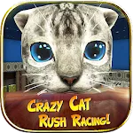 Crazy Cat Rush Racing icon
