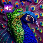 Peacock: Sounds & Ringtones icon