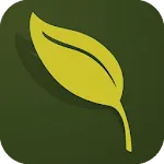 WILLEMSEN icon