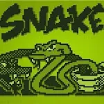 Snake master icon