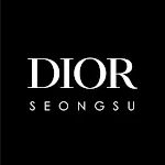 DIOR SEONGSU icon