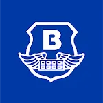 Brink's Vision icon
