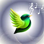 Birds ringtones, birds sound icon
