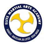 EMA TEAM icon