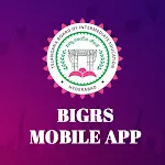 BIGRS icon