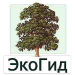 EcoGuide: Trees in Summer icon