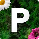 Pollen allergy warning Sweden icon