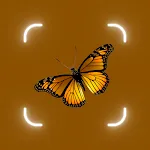 Bug Identifier App, Spider Id icon