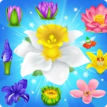 Blossom Charming: Flower games icon