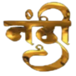 Nandi Pictures icon